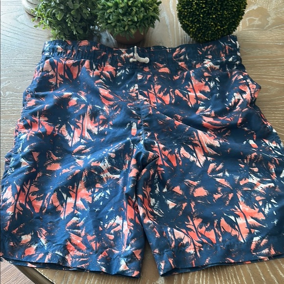 Other - Big Boys Tropical Palm Tree Print Swim Trunk Lined Shorts